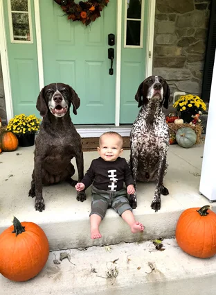 Cannon after treatment sitting with his family's dogs and pumpkins at front door of house