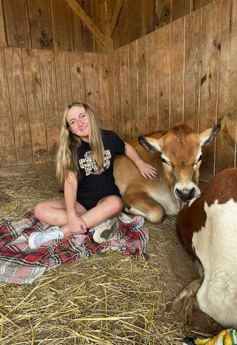 Ally sitting with a cow in a barn