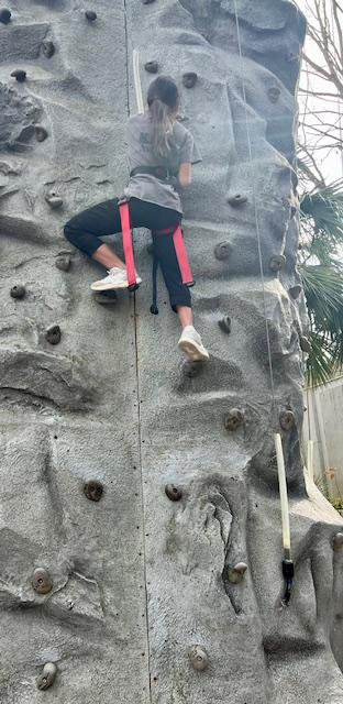 Aria climbing a rock wall